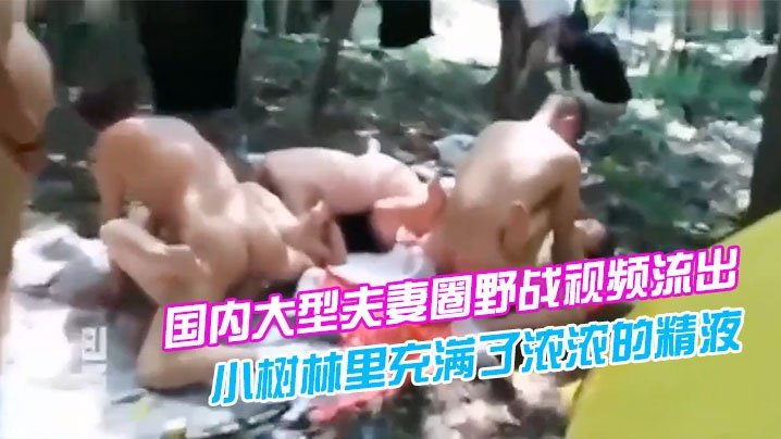 国内大型夫妻圈野战视频流出我朋友想知道这是哪里感觉小树林里充满了浓浓的精液味道